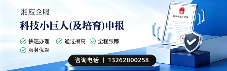 吉安科技小巨人及培育企业申报服务