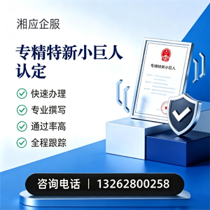 吉安专精特新小巨人申报服务