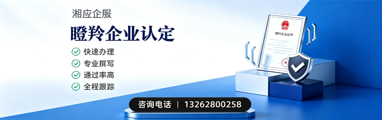 吉安瞪羚企业认定申报服务