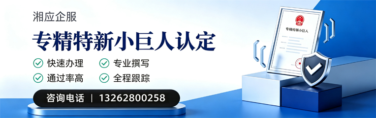 吉安专精特新小巨人申报服务